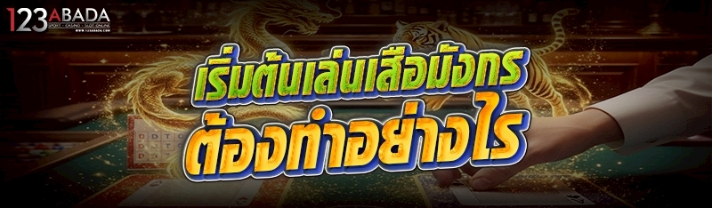 เริ่มต้นเล่นเสือมังกร ต้องทำอย่างไร 